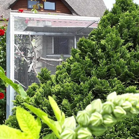 Monchgut Boddenblick 2 Appartement